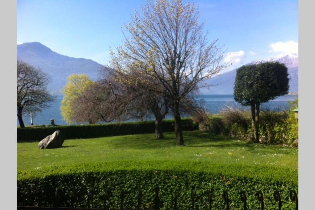 Favoloso Appartamento Fronte Lago, Gera Lario Exterior photo